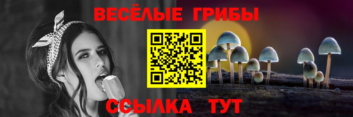 Галлюциногенные грибы Psilocybe  Псилоцибиновые грибы Psilocybe  Михайловск  как найти закладки  Вход с VPN 